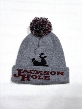 Coal Headwear Jackson Hole Wyoming Beanie Pom Pom Bucking Bronco Logo Gray